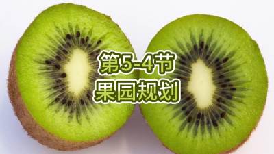 5-4-԰