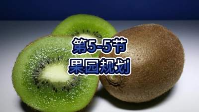 5-5-԰