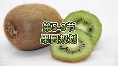 5-9-԰