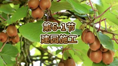 6-1-԰ʩ
