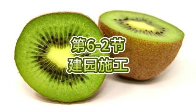 6-2-԰ʩ
