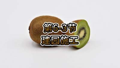 6-3-԰ʩ