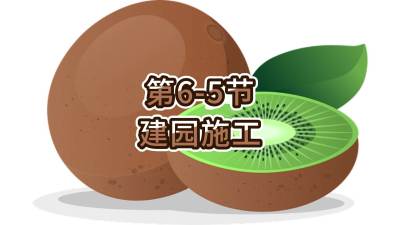 6-5-԰ʩ