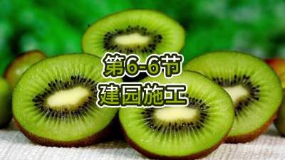 6-6-԰ʩ