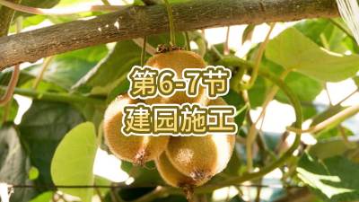 6-7-԰ʩ