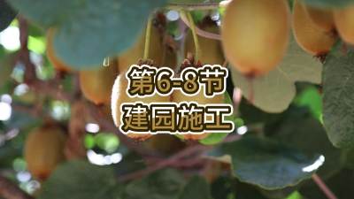 6-8-԰ʩ