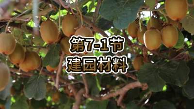 7-1-԰