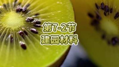 7-2-԰