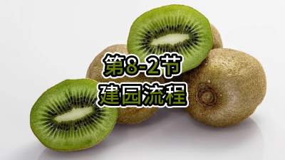 8-2-԰