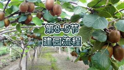 8-5-԰