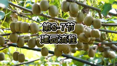 8-7-԰