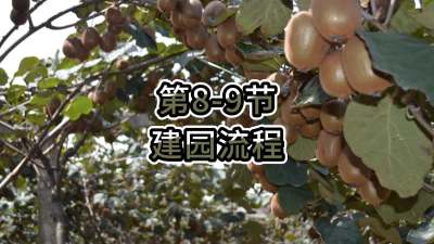 8-9-԰
