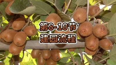 8-10-԰