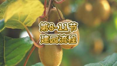 8-11-԰