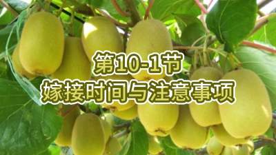 10-1-޽ʱע