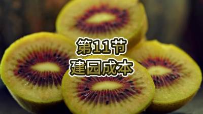 11-԰Ǯ