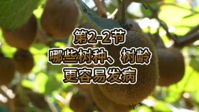 2-2-Щ֡׷