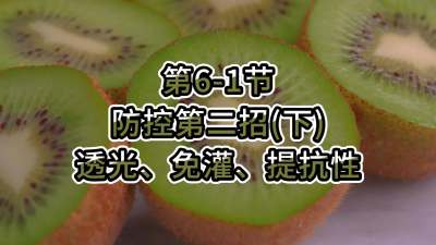 6-1-صڶУ£-͸⡢ࡢΌ