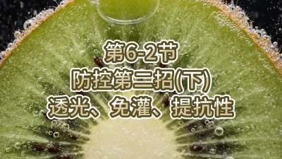 6-2-صڶУ£-͸⡢ࡢΌ