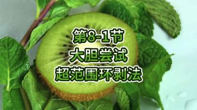 8-1-ʵ-ģ