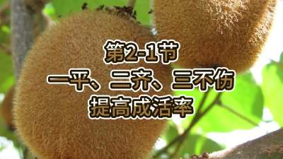 2-1-һƽ롢߳ɻ