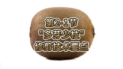 2-1-“ѿ֦”޼Ҫ