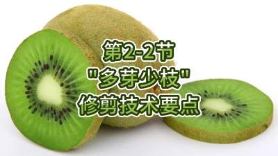 2-2-“ѿ֦”޼Ҫ