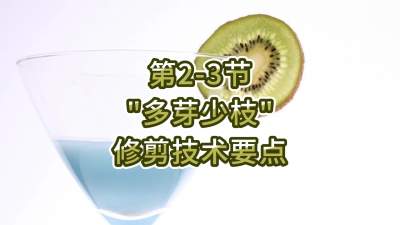 2-3-“ѿ֦”޼Ҫ