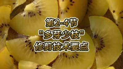 2-4-“ѿ֦”޼Ҫ