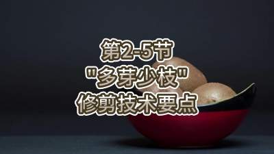 2-5-“ѿ֦”޼Ҫ