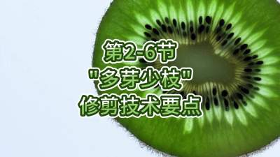2-6-“ѿ֦”޼Ҫ