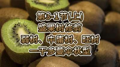 3-1ڣϣ-ʢ޼ӹһɶɡ״ͣ