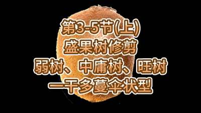 3-5ڣϣ-ʢ޼ӹһɶɡ״ͣ