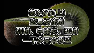 3-6ڣϣ-ʢ޼ӹһɶɡ״ͣ