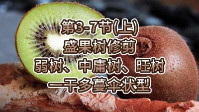 3-7ڣϣ-ʢ޼ӹһɶɡ״ͣ