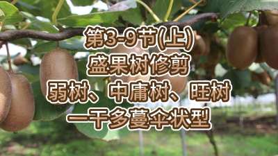 3-9ڣϣ-ʢ޼ӹһɶɡ״ͣ