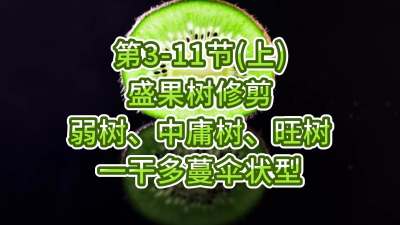3-11ڣϣ-ʢ޼ӹһɶɡ״ͣ