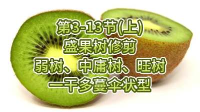 3-13ڣϣ-ʢ޼ӹһɶɡ״ͣ