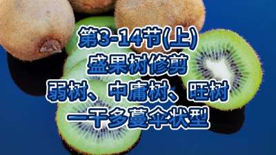 3-14ڣϣ-ʢ޼ӹһɶɡ״ͣ