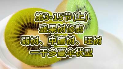 3-15ڣϣ-ʢ޼ӹһɶɡ״ͣ