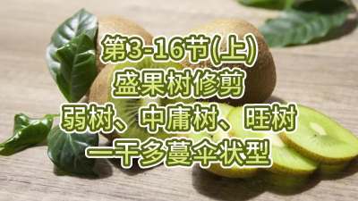3-16ڣϣ-ʢ޼ӹһɶɡ״ͣ