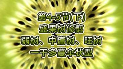 4-5ڣ£-ʢ޼ӹһɶɡ״ͣ