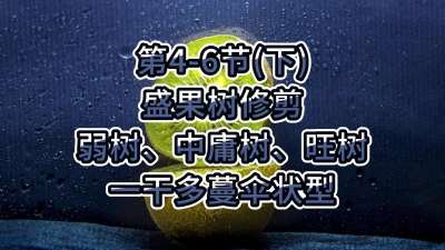 4-6ڣ£-ʢ޼ӹһɶɡ״ͣ