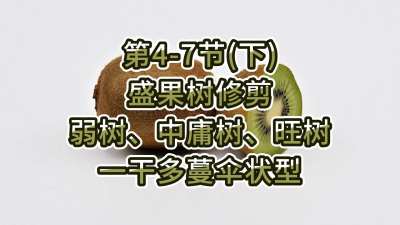 4-7ڣ£-ʢ޼ӹһɶɡ״ͣ
