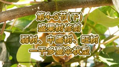 4-8ڣ£-ʢ޼ӹһɶɡ״ͣ