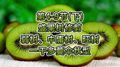 4-9ڣ£-ʢ޼ӹһɶɡ״ͣ