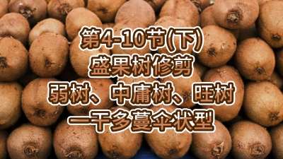 4-10ڣ£-ʢ޼ӹһɶɡ״ͣ