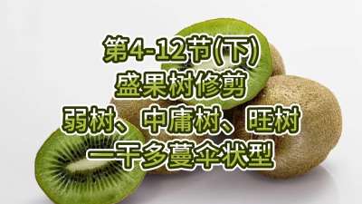 4-12ڣ£-ʢ޼ӹһɶɡ״ͣ