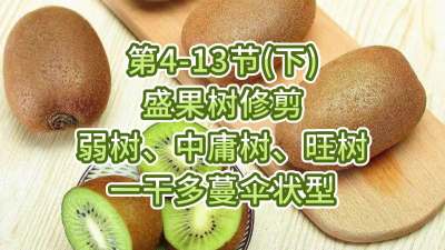 4-13ڣ£-ʢ޼ӹһɶɡ״ͣ