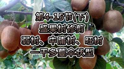 4-15ڣ£-ʢ޼ӹһɶɡ״ͣ